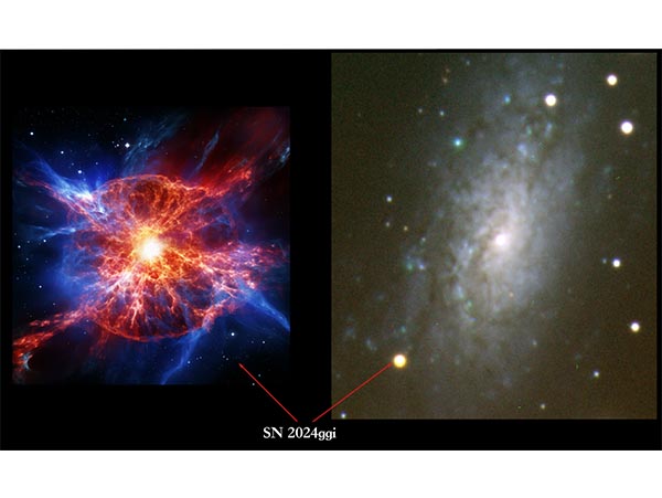 云南天文台等探测到超新星激波突破信号